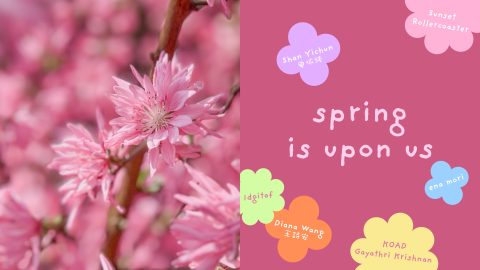 Spring is upon us: 6 Songs out of Asia to add to your Spring 2026 playlist